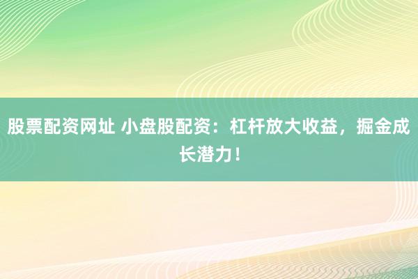 股票配资网址 小盘股配资：杠杆放大收益，掘金成长潜力！