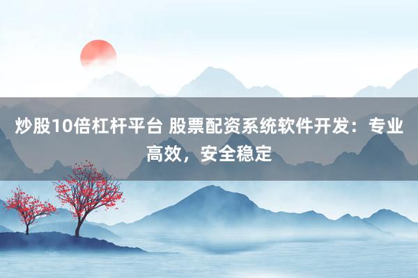 炒股10倍杠杆平台 股票配资系统软件开发：专业高效，安全稳定